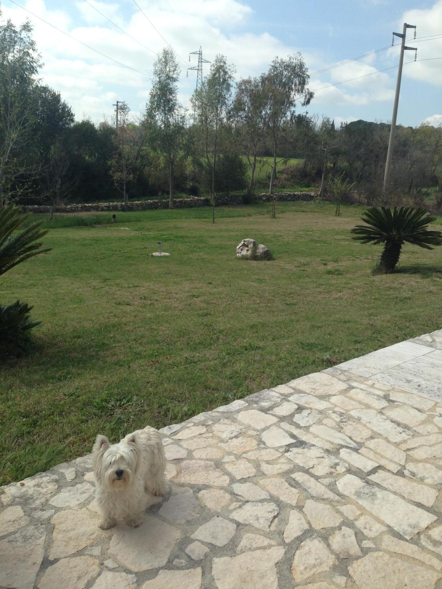 Bagno Santo Residence ساتورنيا الغرفة الصورة